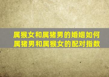 属猴女和属猪男的婚姻如何 属猪男和属猴女的配对指数